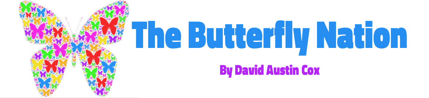 butterfly-nation-story-by-david-austin-cox
